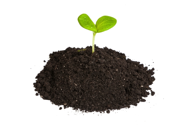 Уход за растениями