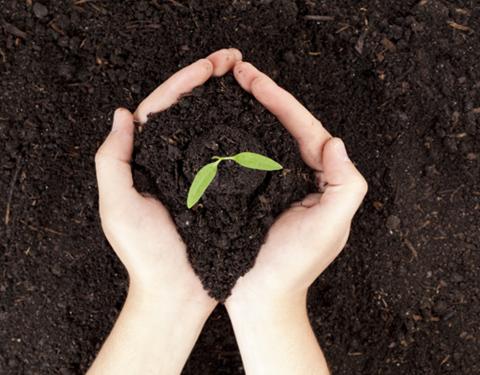 Грунт плодородный в куб.м.