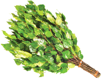 Веник БЕРЕЗОВЫЙ