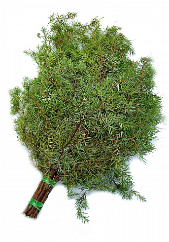 Веник МОЖЖЕВЕЛОВЫЙ