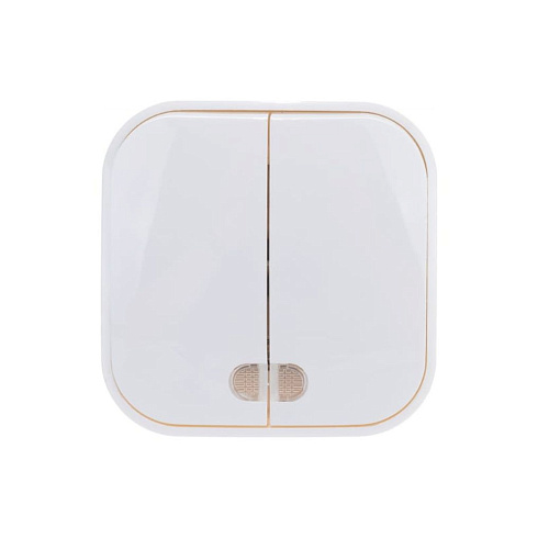 Выключатель 2-кл 1п ОП белый с подсветкой 10А IP20 IONICH 1414