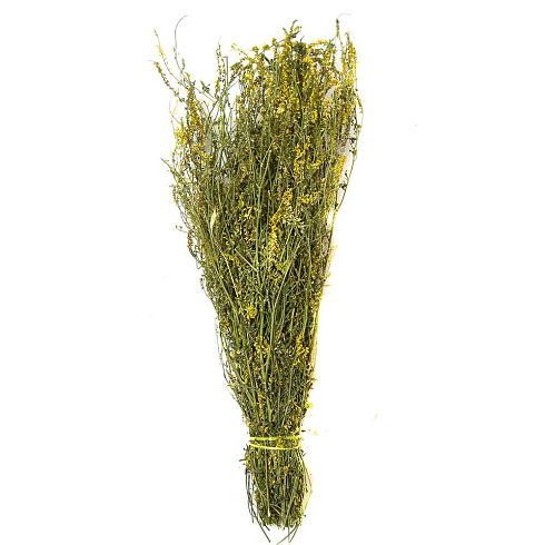 Веник из ДОННИКА