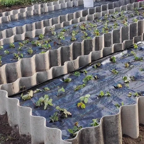 Агроткань 150 гр/м2 1,60м х 25м (40м2)