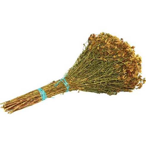 Веник из ЗВЕРОБОЯ