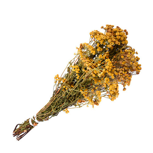 Веник из ПИЖМЫ