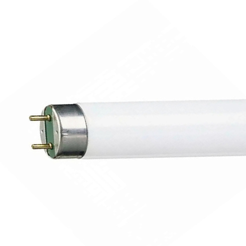 Лампа люм. L 36W/765 36Вт Т8 6500К G13 смол. OSRAM 4008321959836