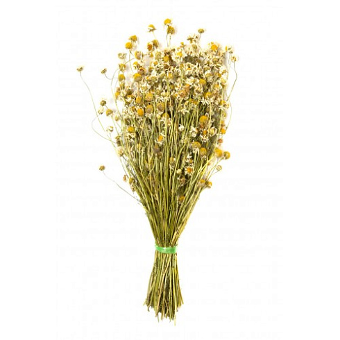 Веник из РОМАШКИ