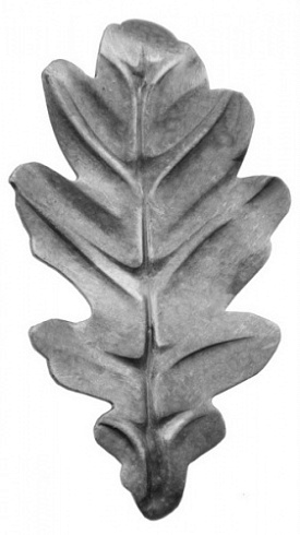 Лист дубовый 140х80х2мм 3826Т