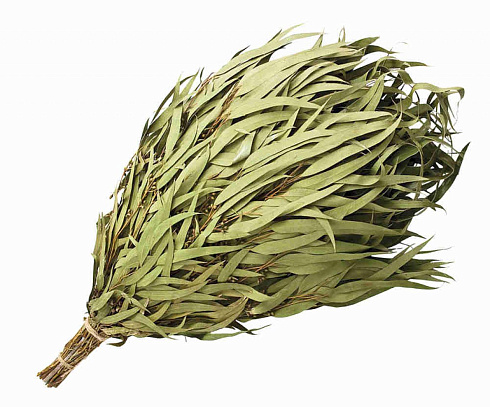 Веник ЭВКАЛИПТОВЫЙ