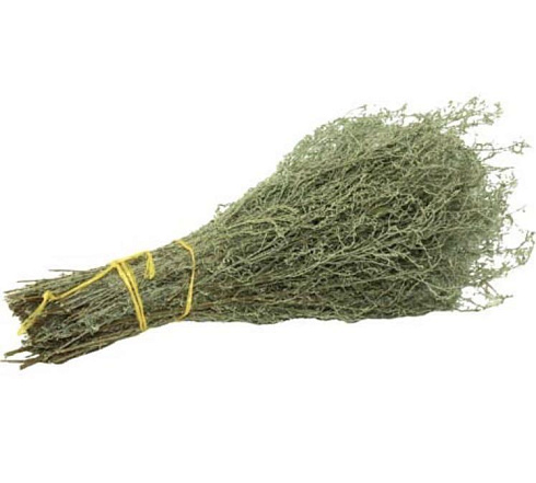 Веник из ПОЛЫНИ