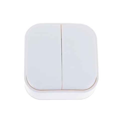 Выключатель 2-кл 1п ОП белый 10А IP20 IONICH 1413